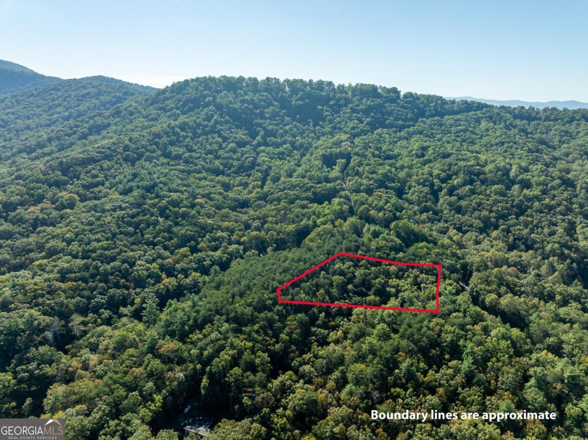 Tract 1 Turniptown Road Ellijay GA 30536