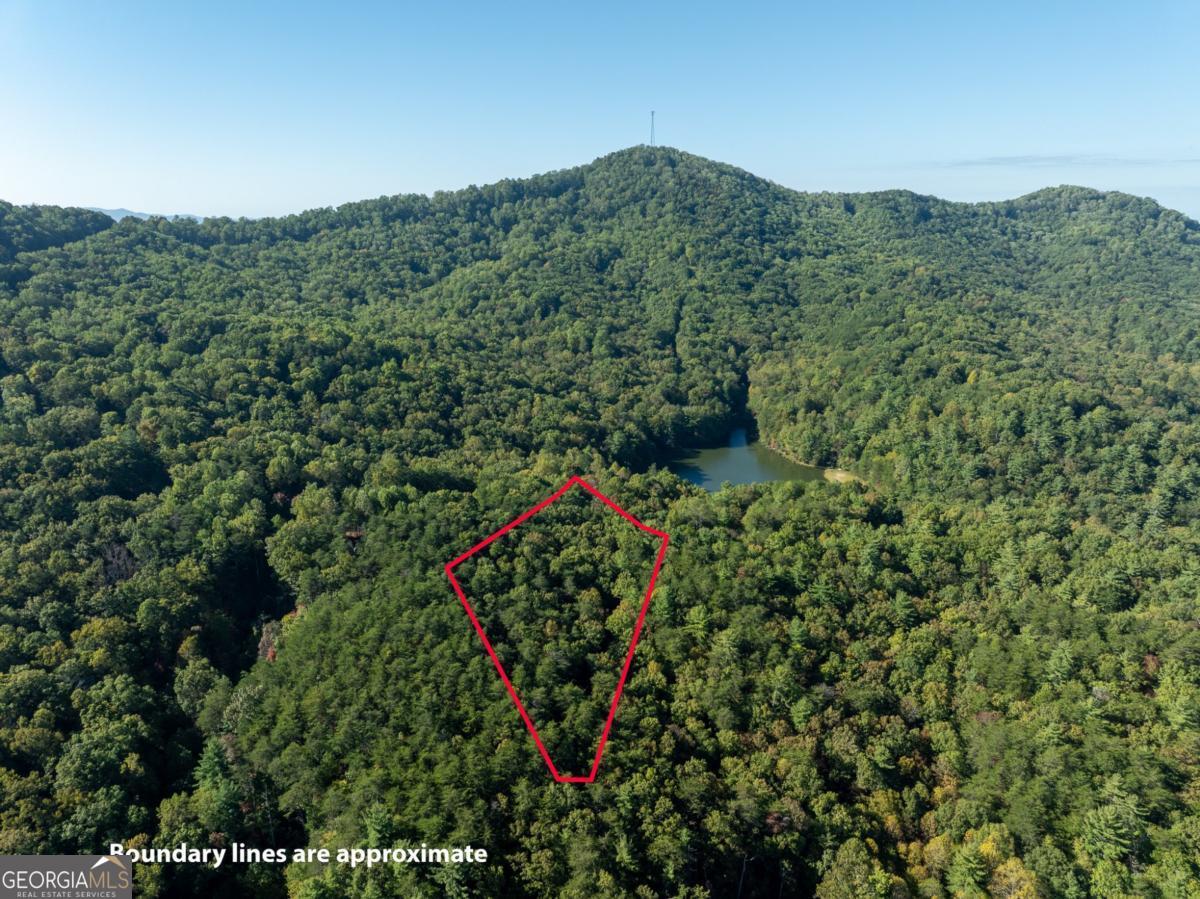 Tract 1 Turniptown Road Ellijay GA 30536