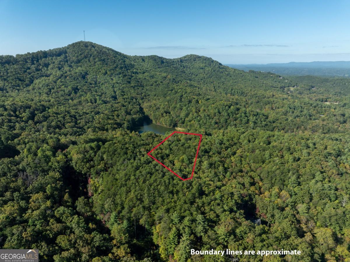 Tract 1 Turniptown Road Ellijay GA 30536