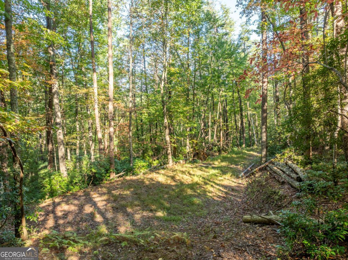Tract 1 Turniptown Road Ellijay GA 30536