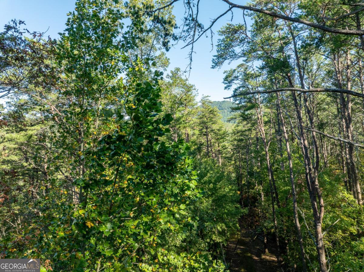 Tract 1 Turniptown Road Ellijay GA 30536