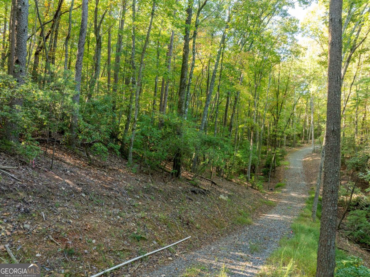 Tract 1 Turniptown Road Ellijay GA 30536
