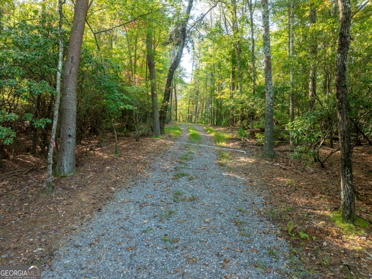 Tract 1 Turniptown Road Ellijay GA 30536