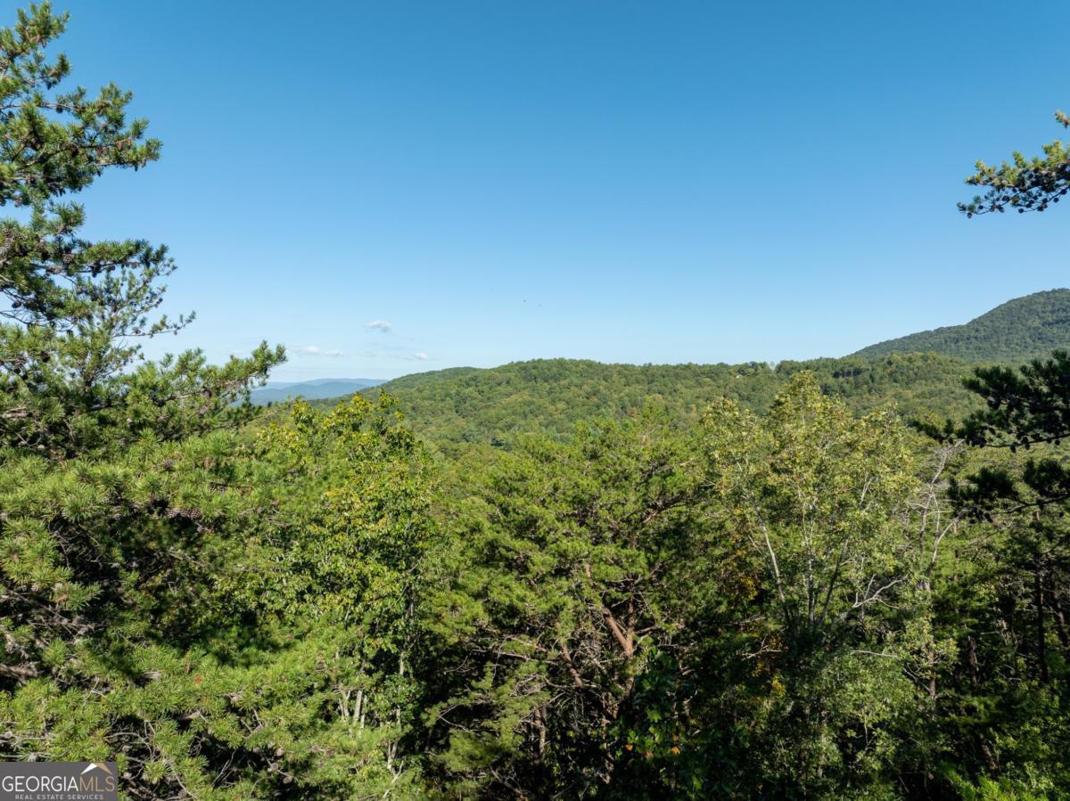 Tract 1 Turniptown Road Ellijay GA 30536