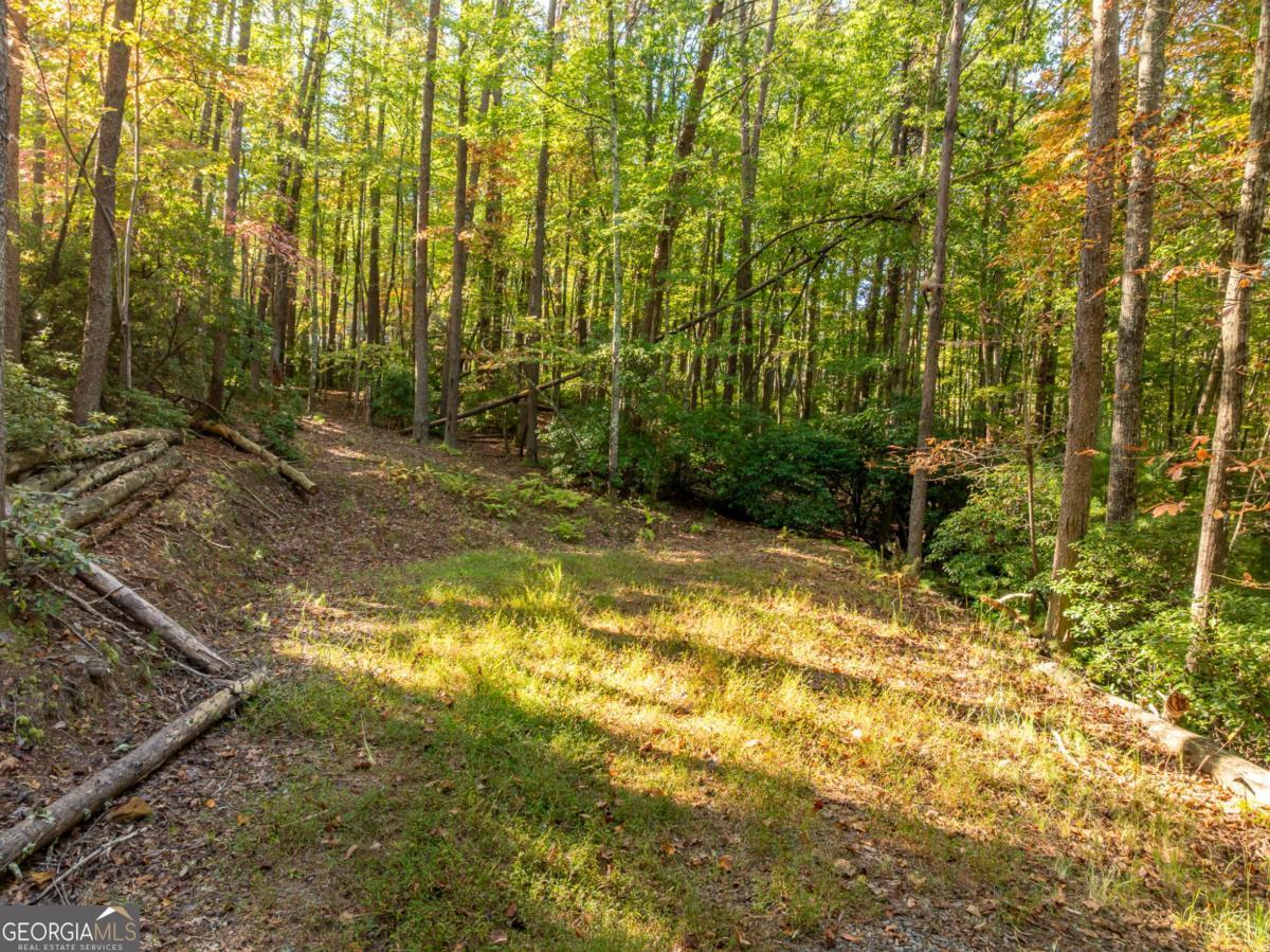 Tract 1 Turniptown Road Ellijay GA 30536