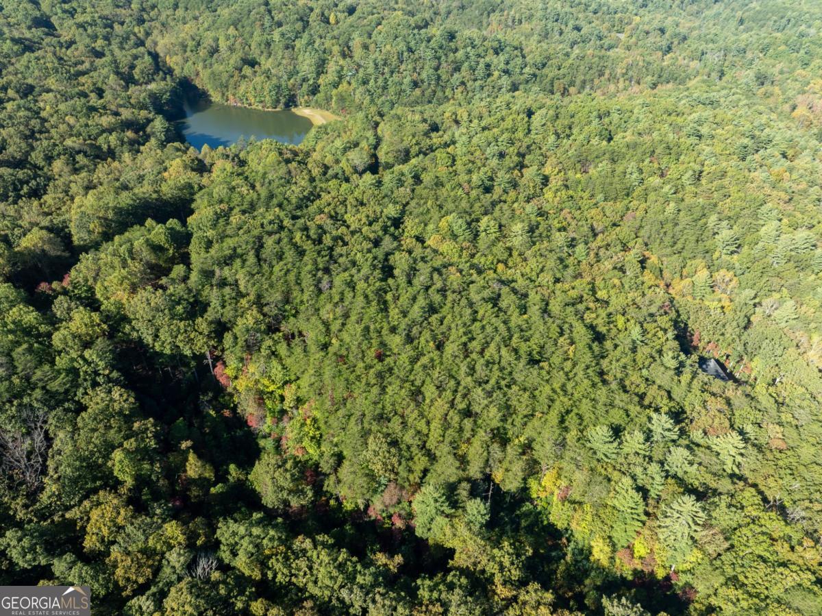 Tract 1 Turniptown Road Ellijay GA 30536