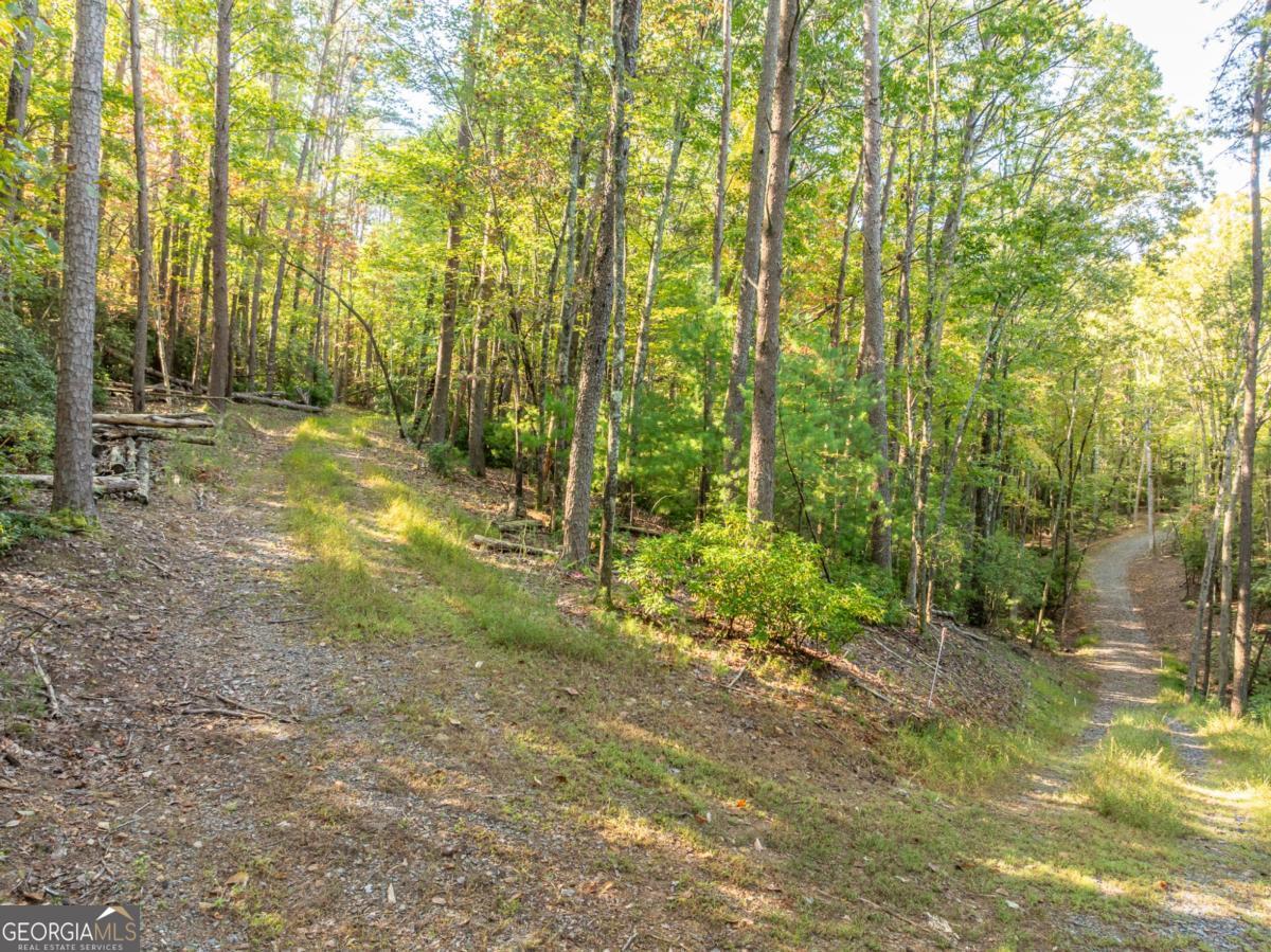 Tract 1 Turniptown Road Ellijay GA 30536