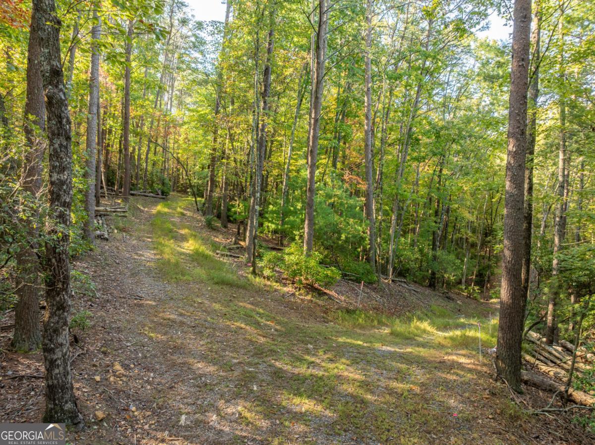 Tract 1 Turniptown Road Ellijay GA 30536