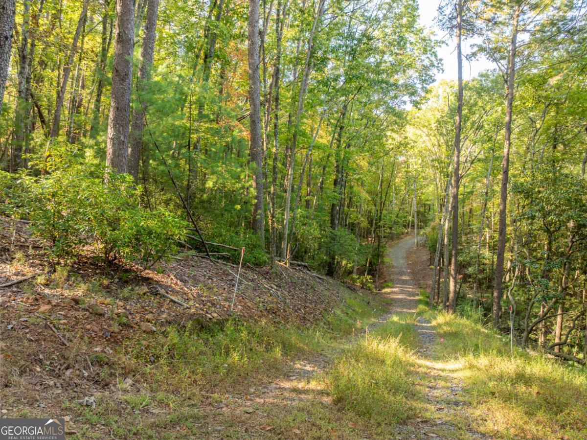 Tract 1 Turniptown Road Ellijay GA 30536
