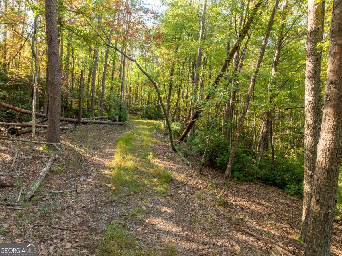 Tract 1 Turniptown Road Ellijay GA 30536
