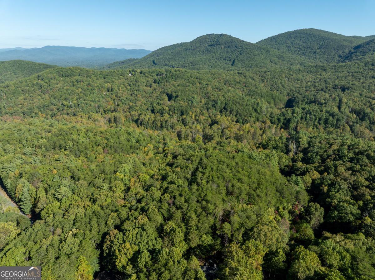 Tract 1 Turniptown Road Ellijay GA 30536
