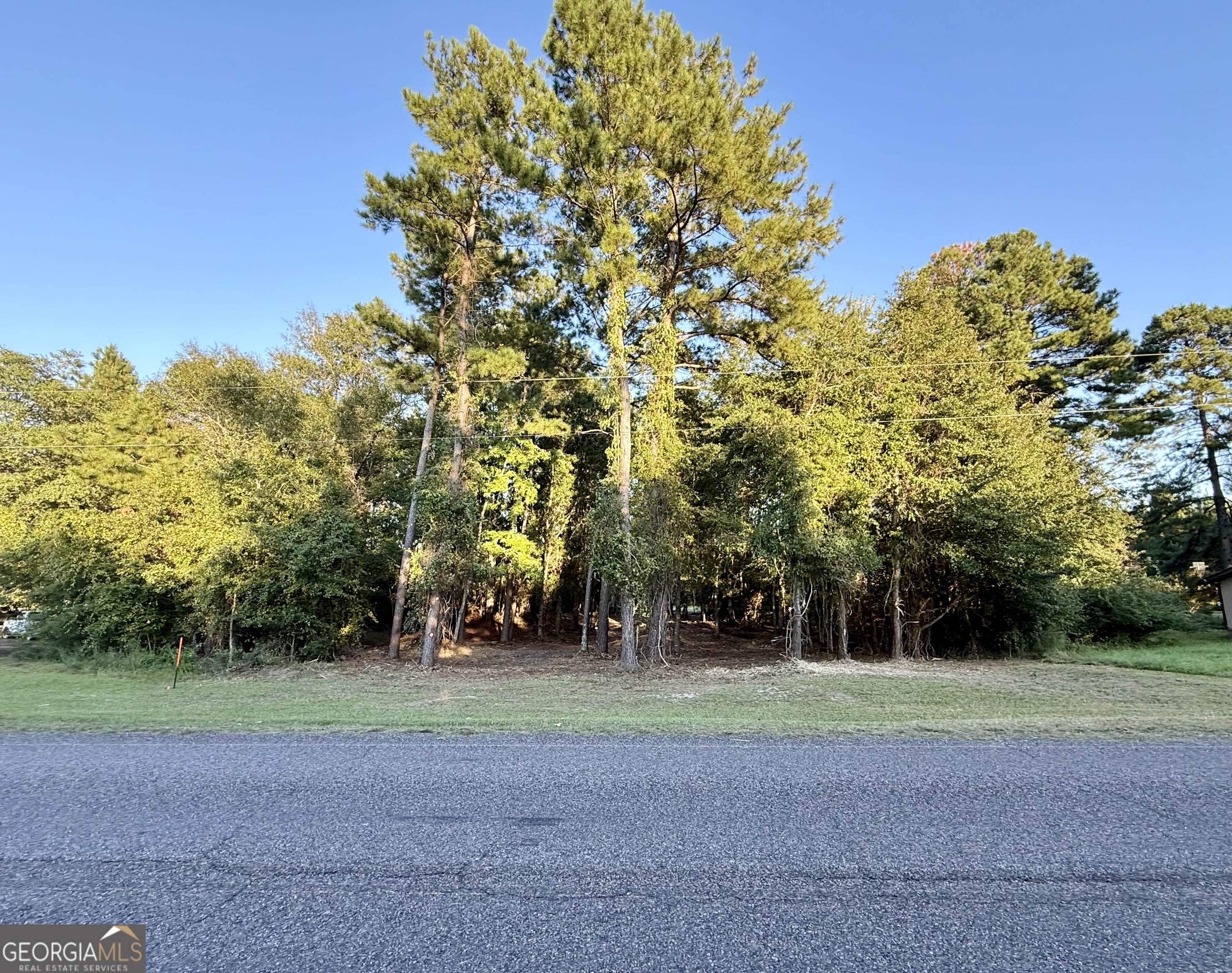 0 Friendship Road Sylvania GA 30467