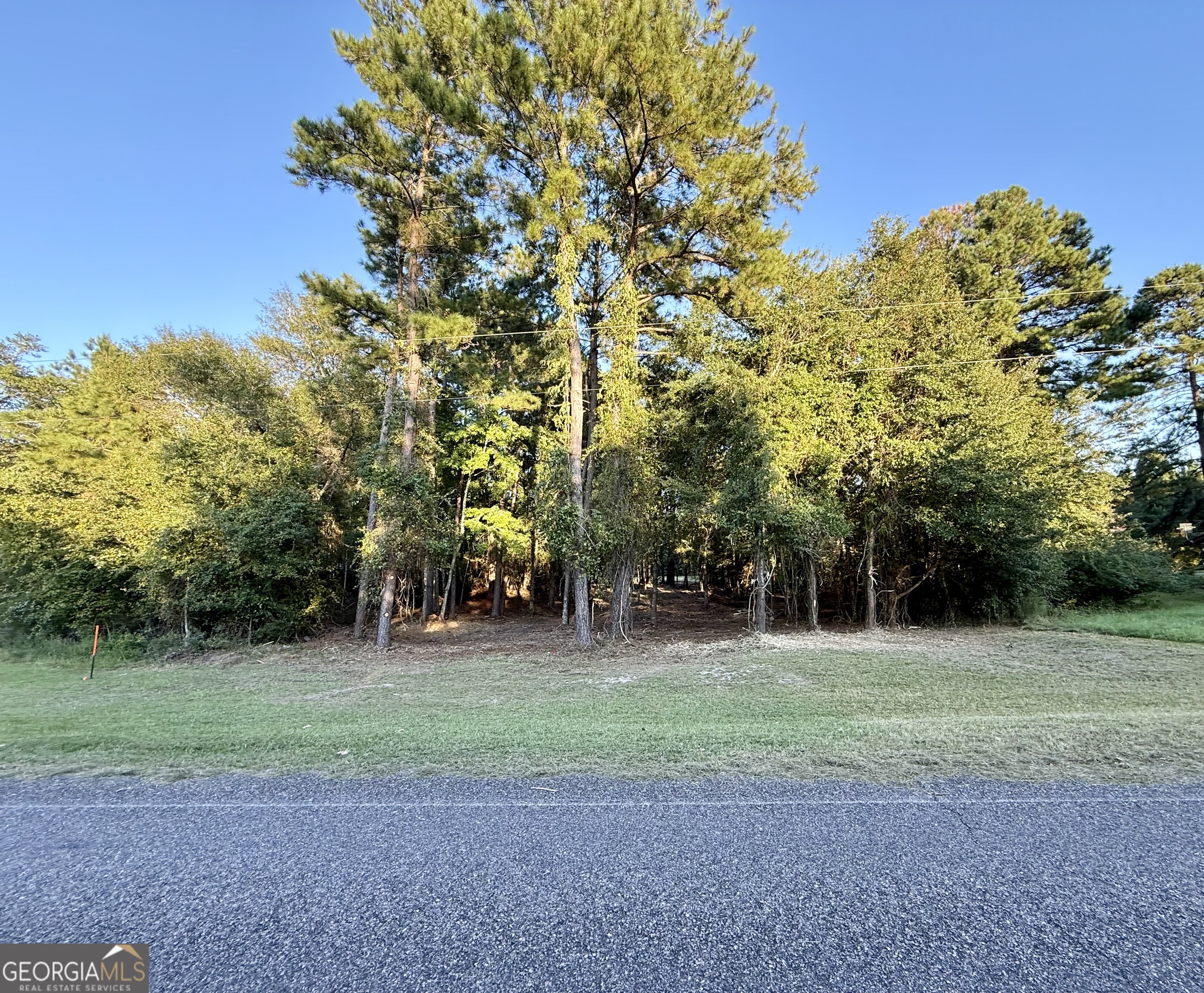 0 Friendship Road Sylvania GA 30467