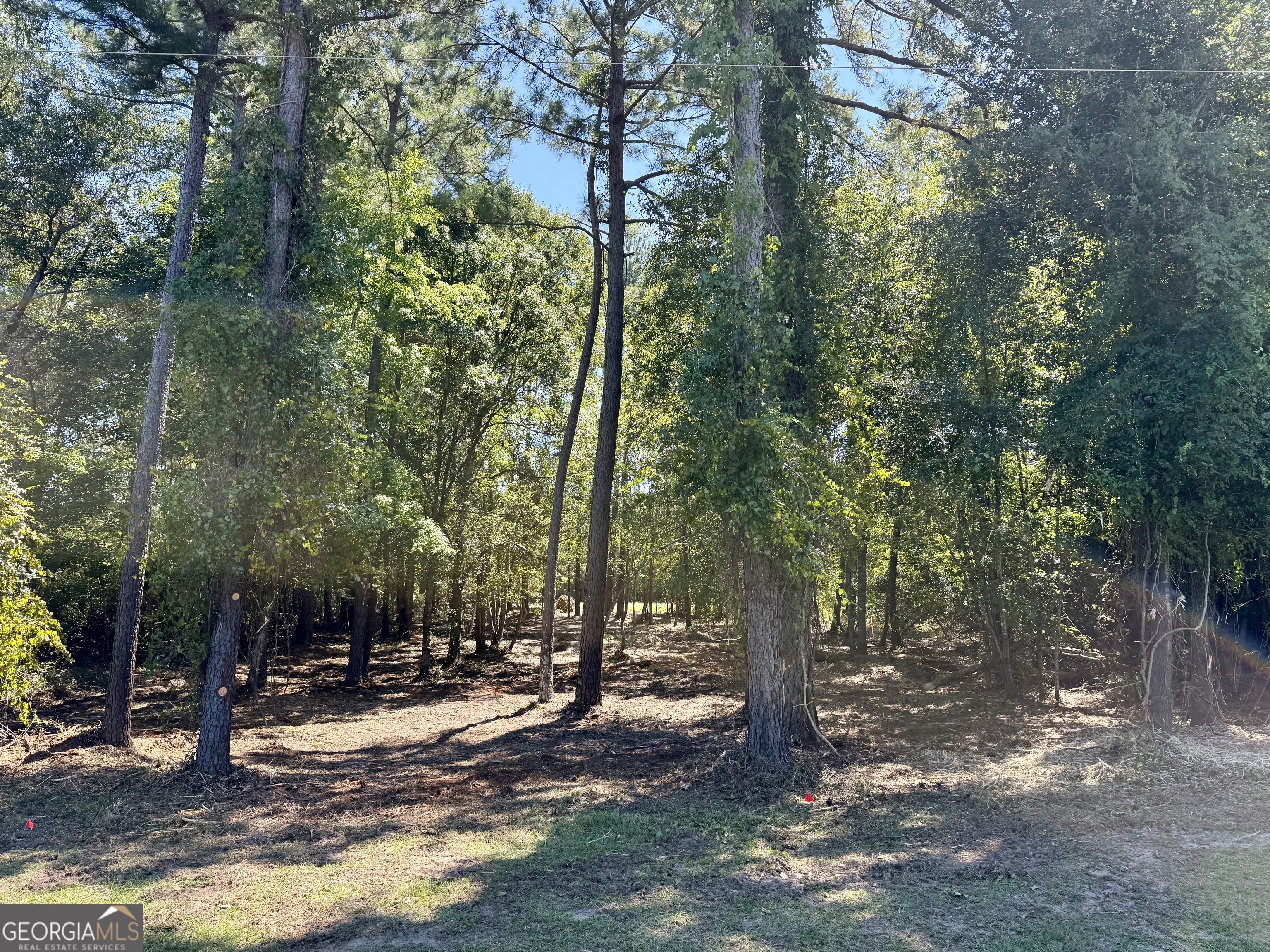 0 Friendship Road Sylvania GA 30467