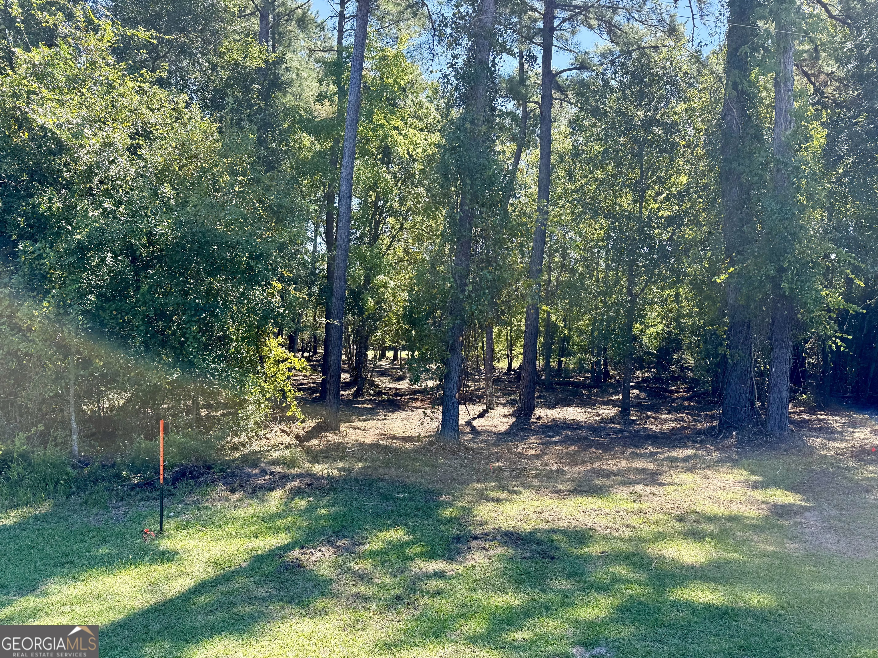 0 Friendship Road Sylvania GA 30467