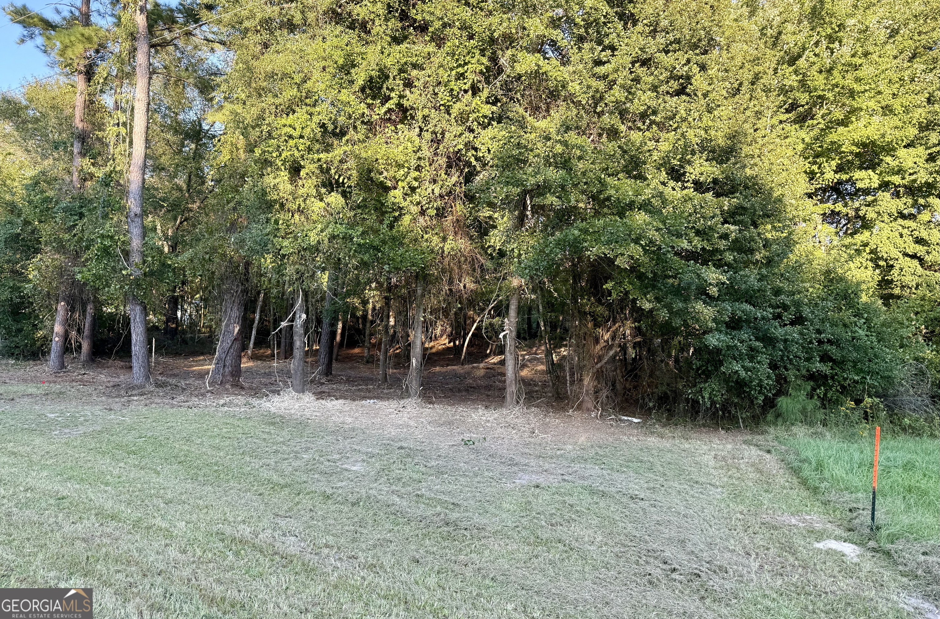 0 Friendship Road Sylvania GA 30467