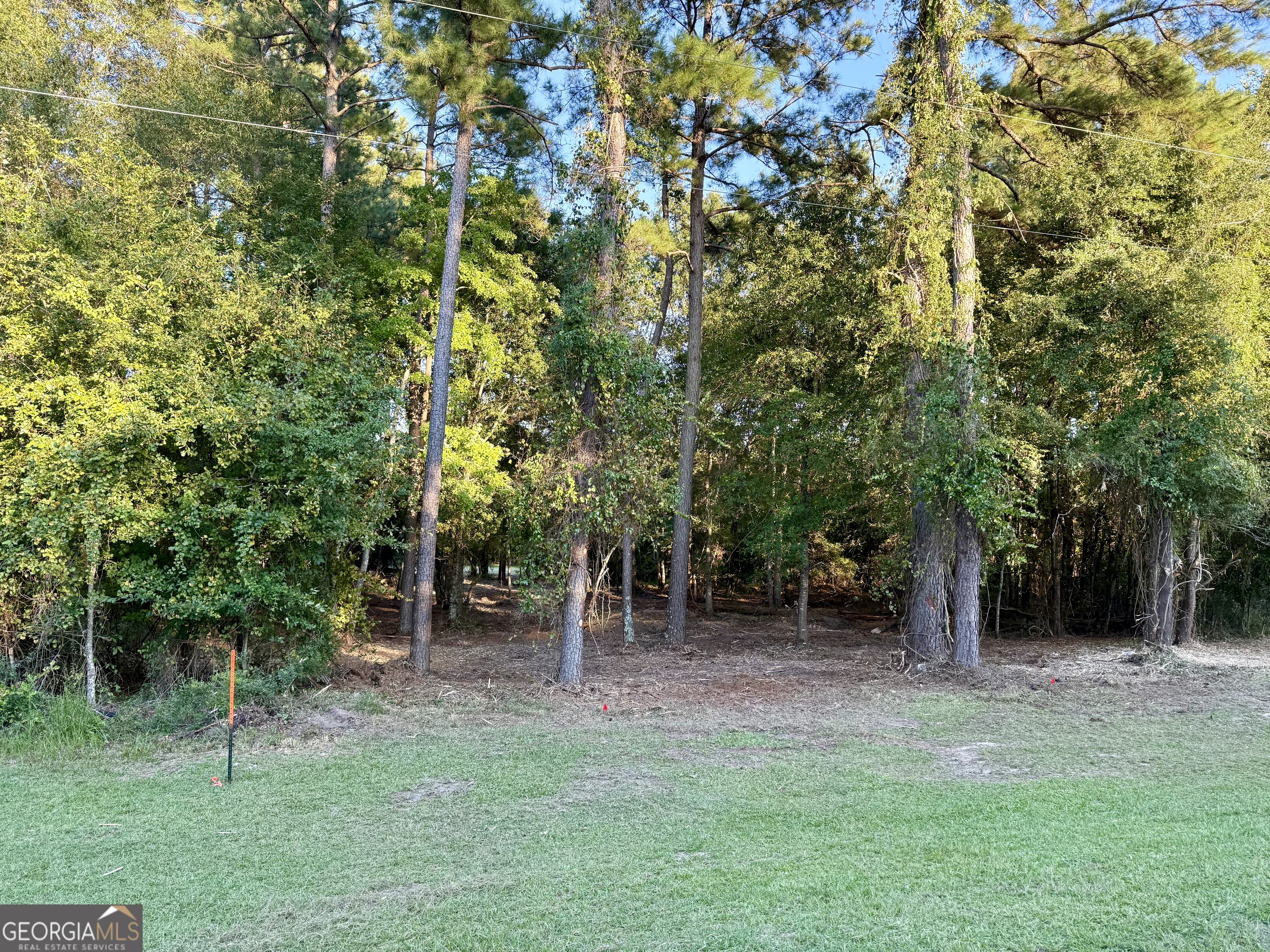0 Friendship Road Sylvania GA 30467