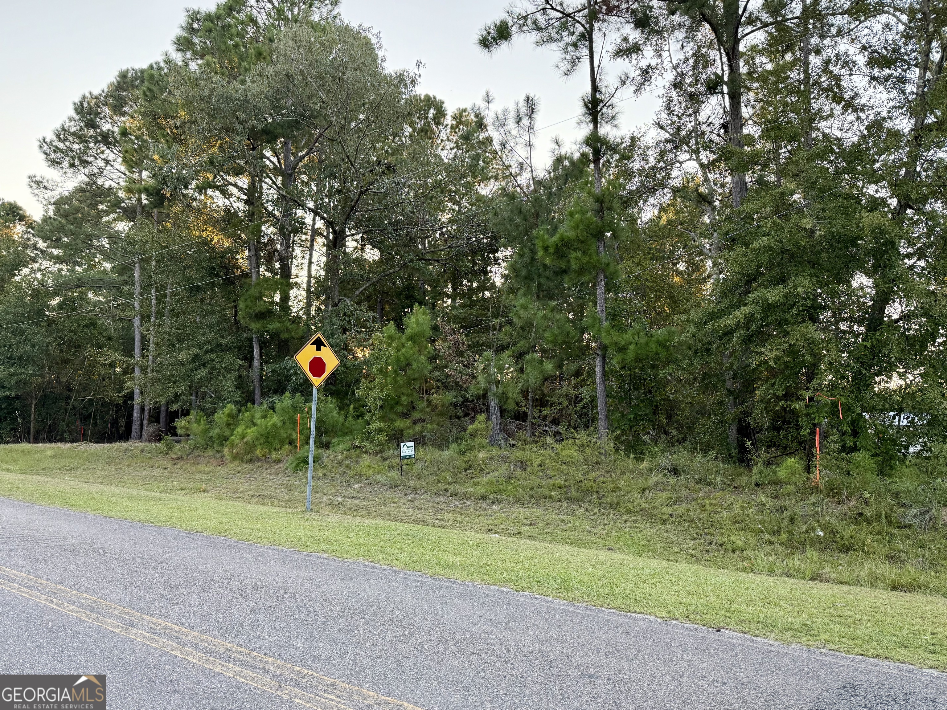 0 Friendship Road Sylvania GA 30467