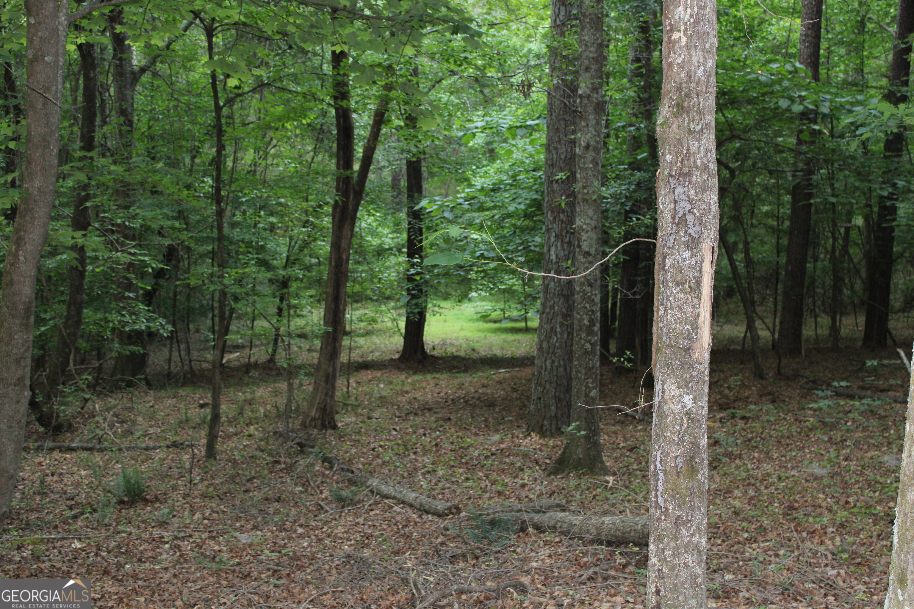 1 Mount Moriah Road Auburn GA 30011