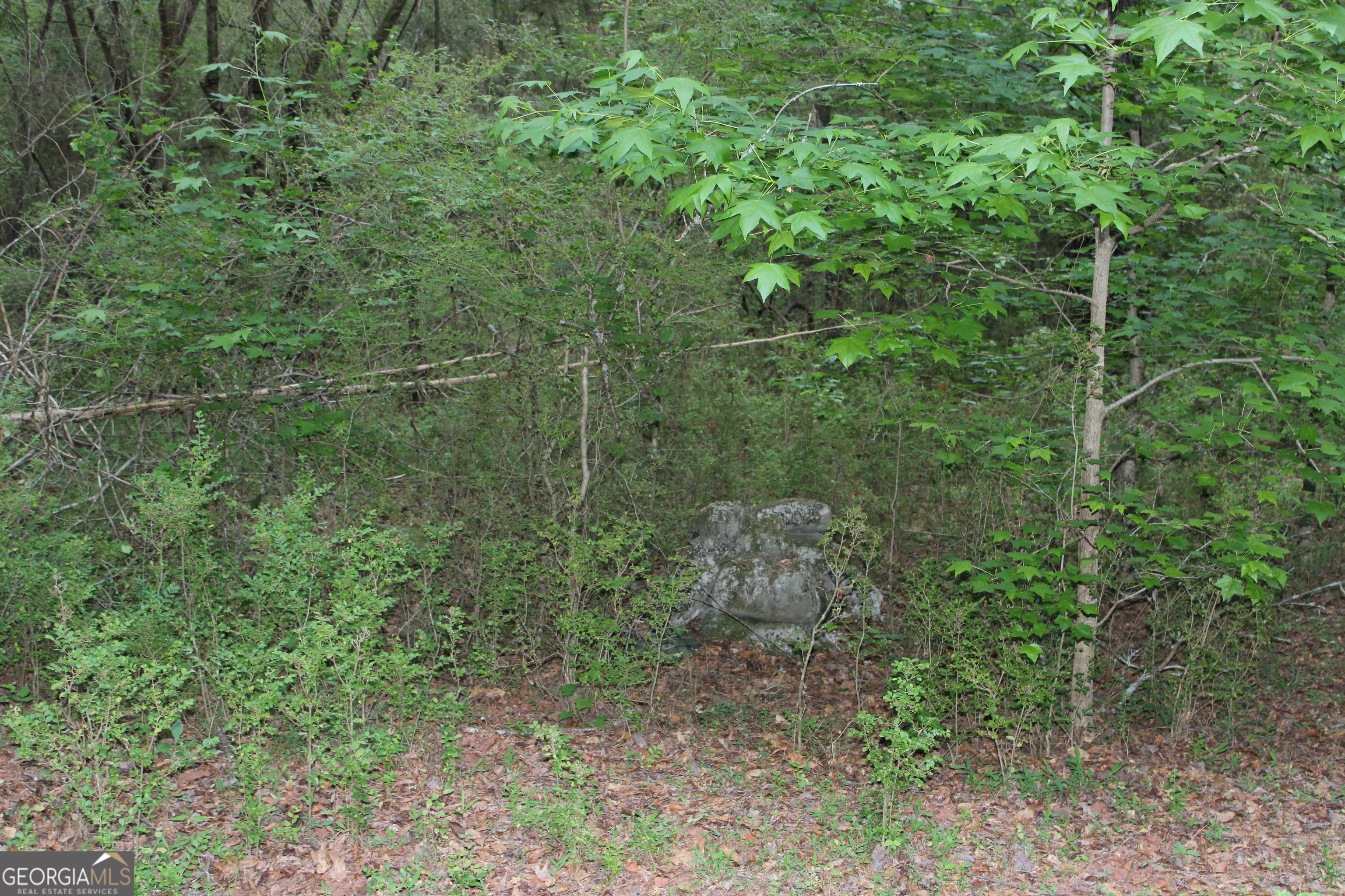 1 Mount Moriah Road Auburn GA 30011