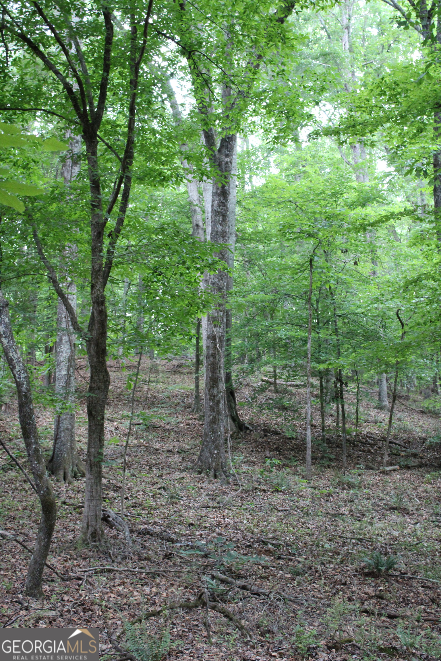 1 Mount Moriah Road Auburn GA 30011