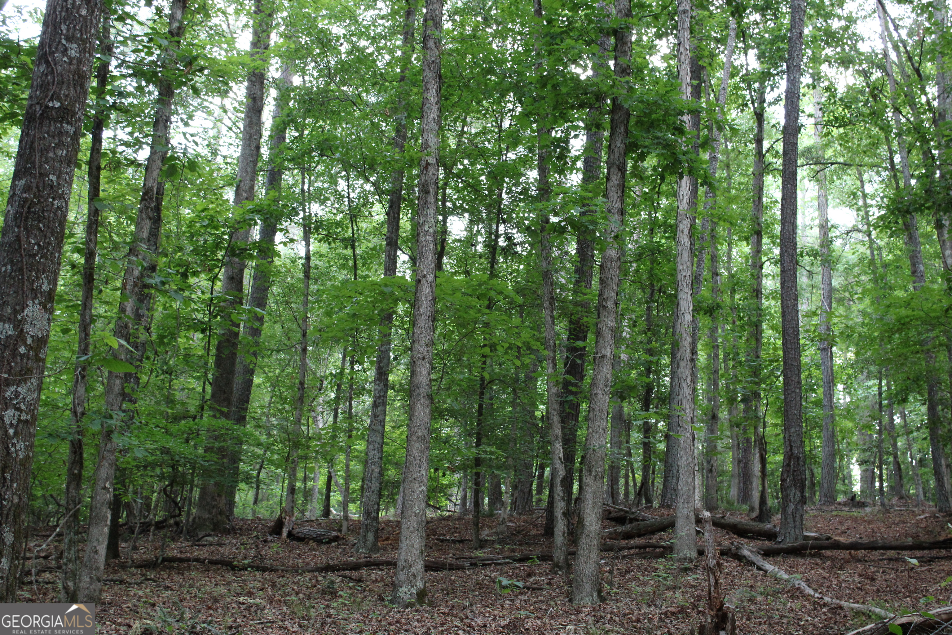 1 Mount Moriah Road Auburn GA 30011