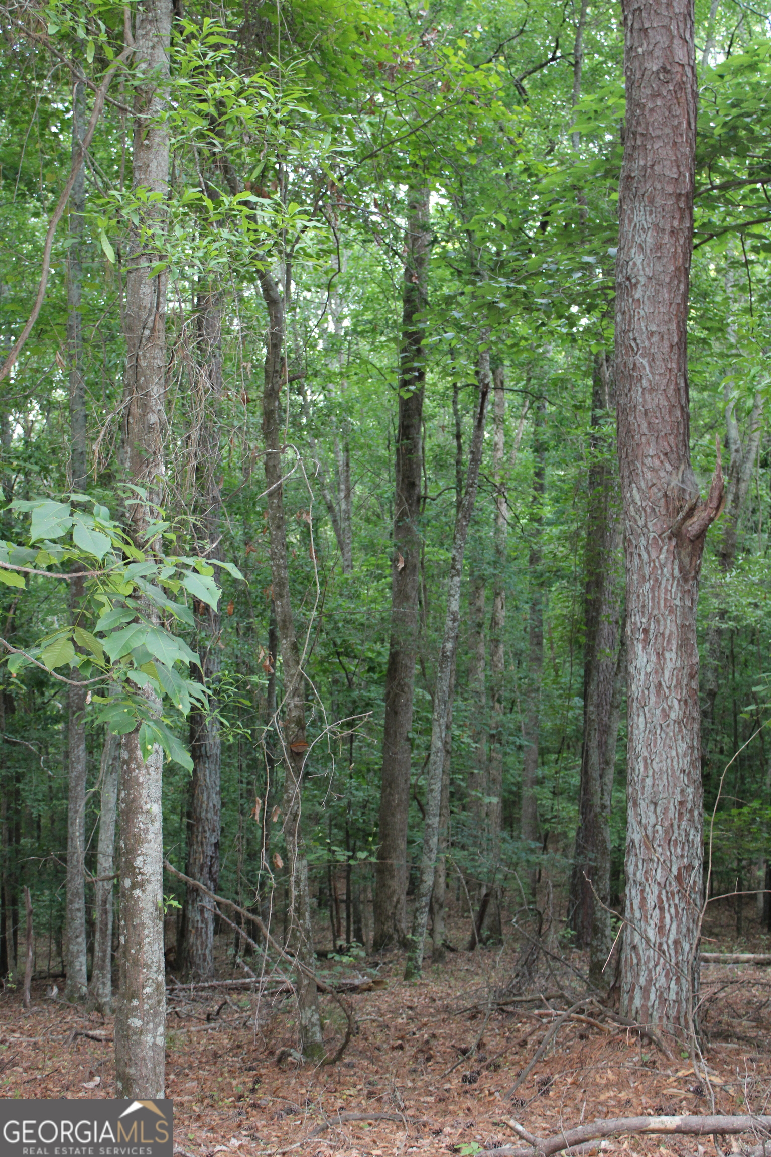 1 Mount Moriah Road Auburn GA 30011
