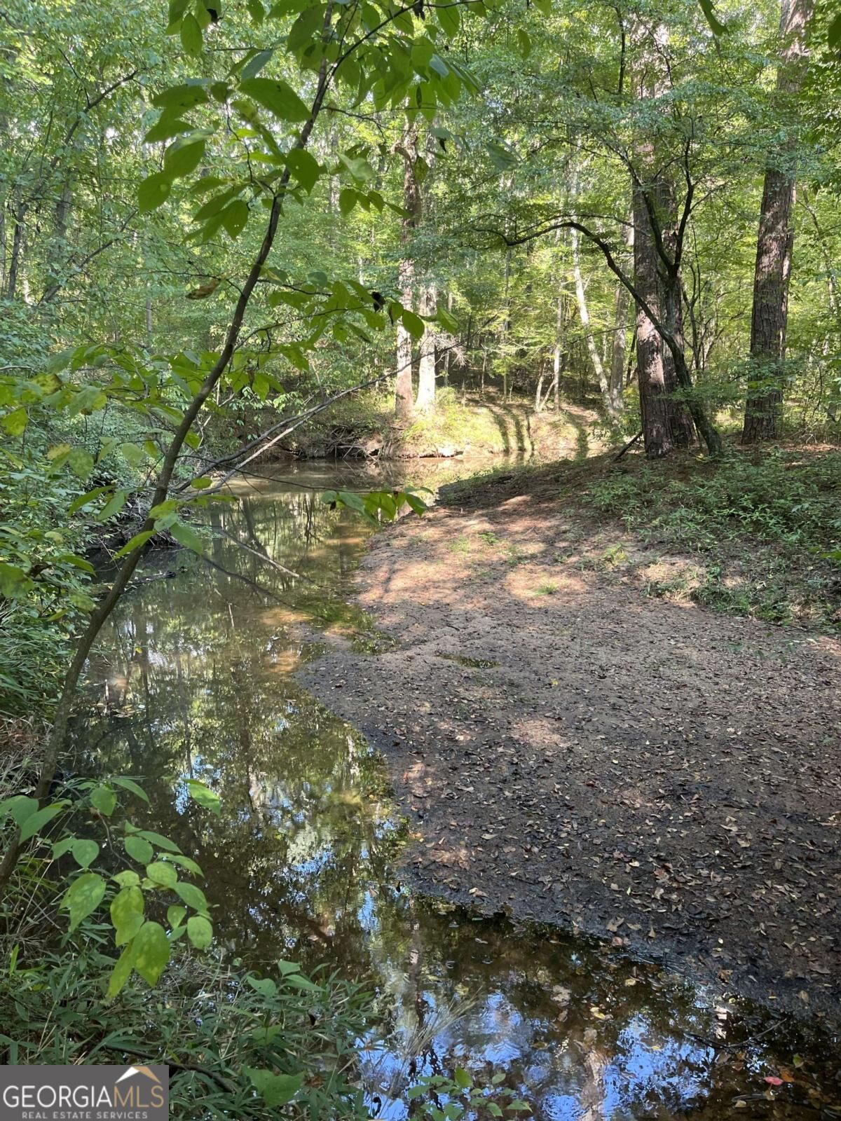 46 Creek Ridge Winterville GA 30683