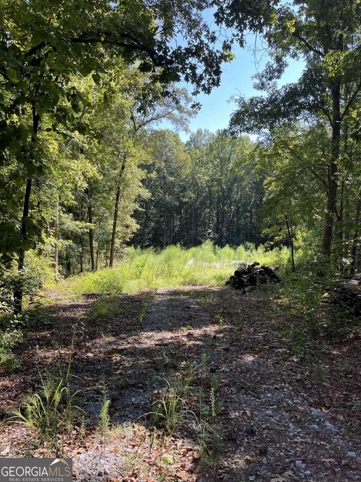46 Creek Ridge Winterville GA 30683