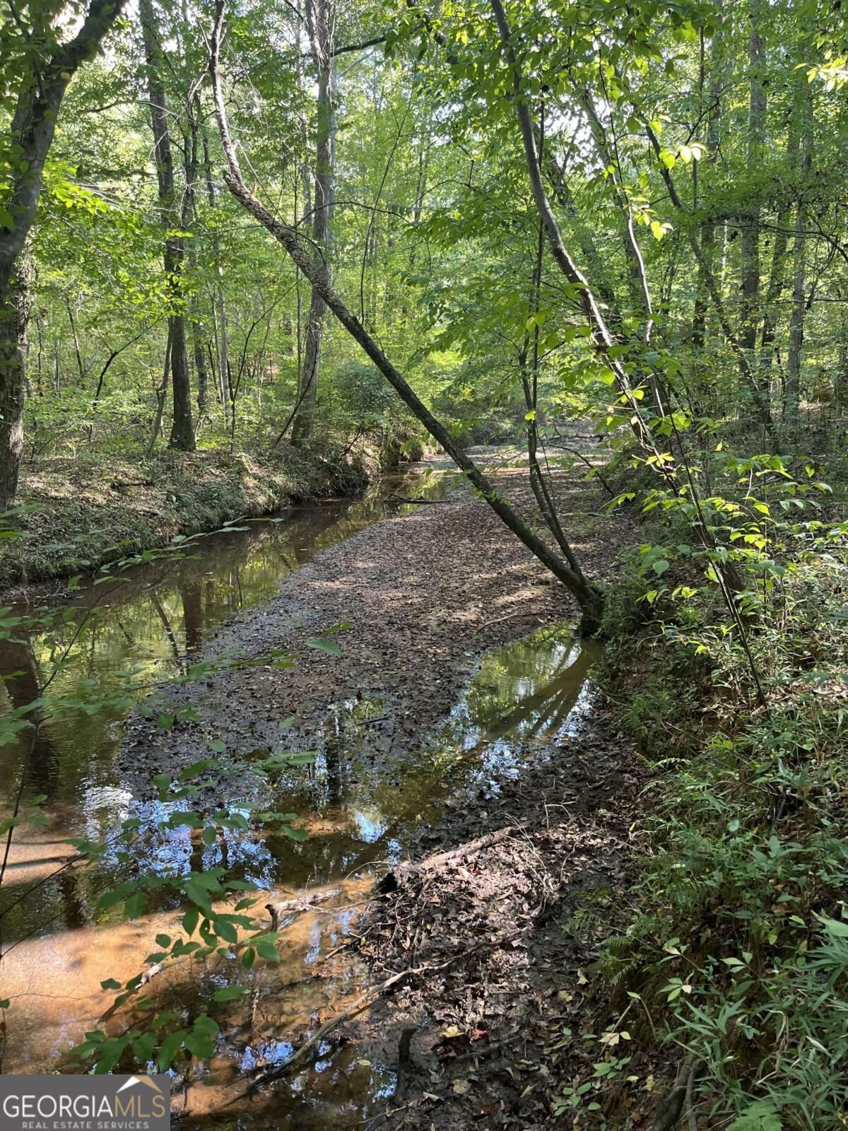 46 Creek Ridge Winterville GA 30683