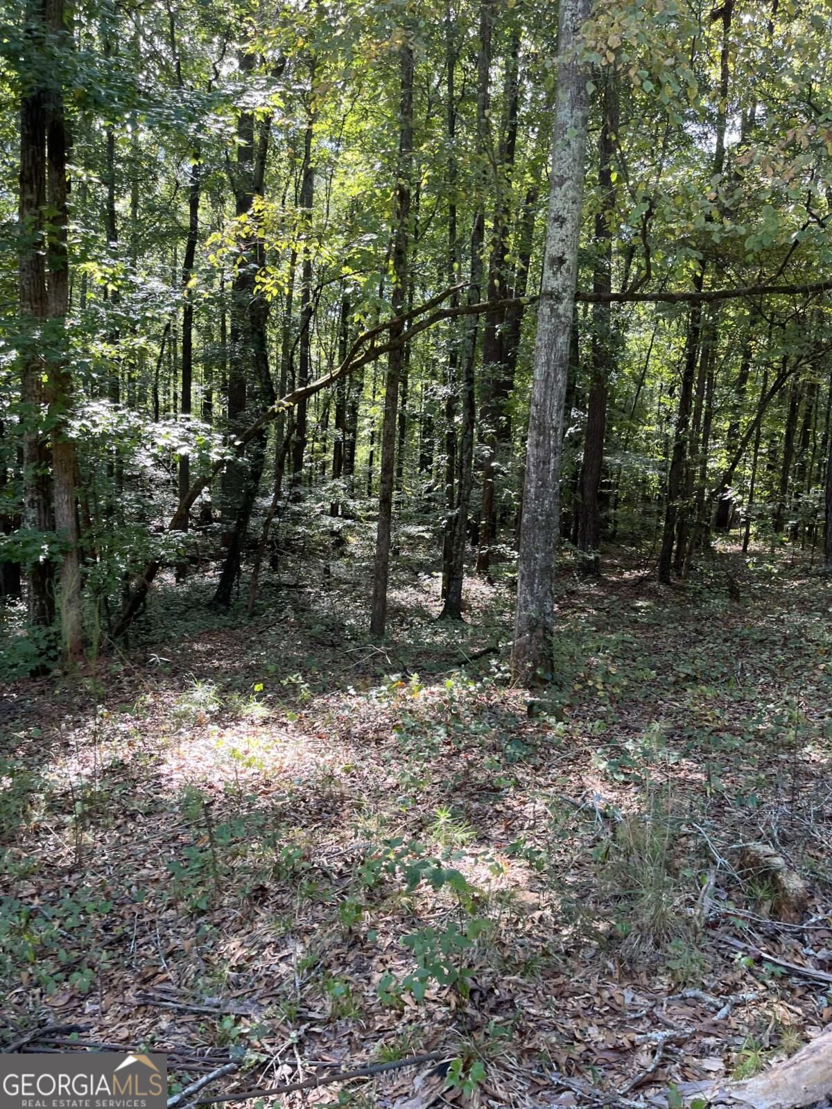 46 Creek Ridge Winterville GA 30683