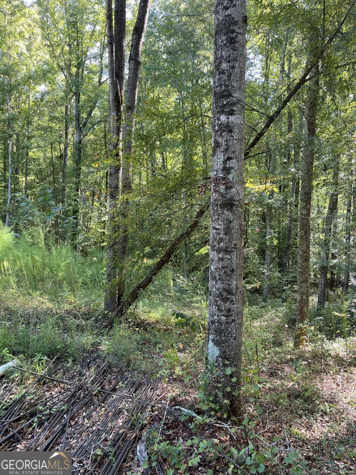 46 Creek Ridge Winterville GA 30683
