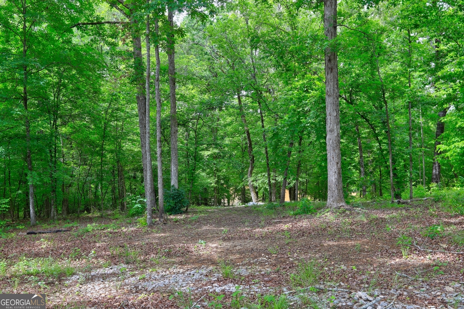 432 River Oak Drive Eatonton GA 31024