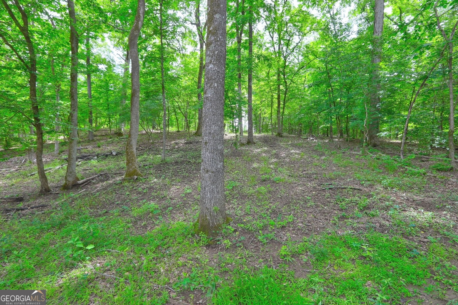 432 River Oak Drive Eatonton GA 31024