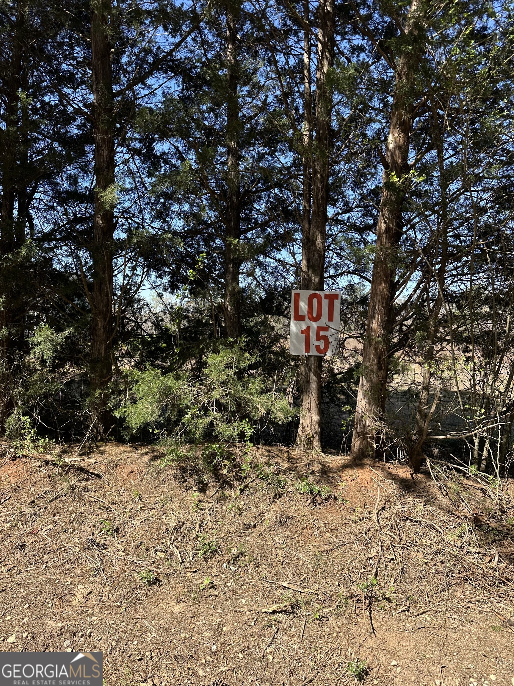 131 Oak Road Locust Grove GA 30248