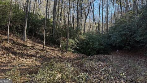 0 Goshen Road Clarkesville GA 30523