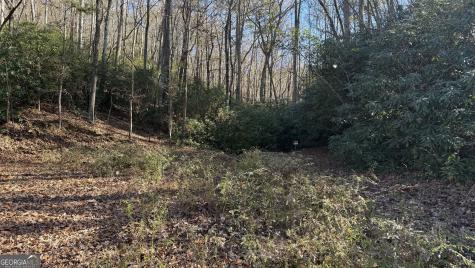 0 Goshen Road Clarkesville GA 30523