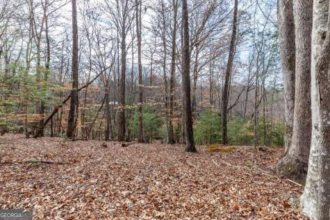 Lots 7&8 Zion Way Blairsville GA 30512