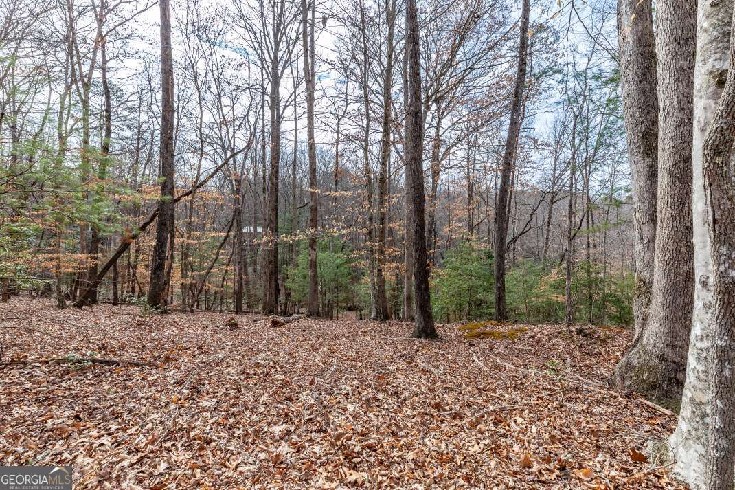 Lots 7&8 Zion Way Blairsville GA 30512