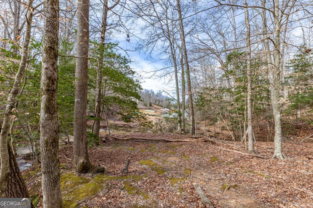 Lots 7&8 Zion Way Blairsville GA 30512