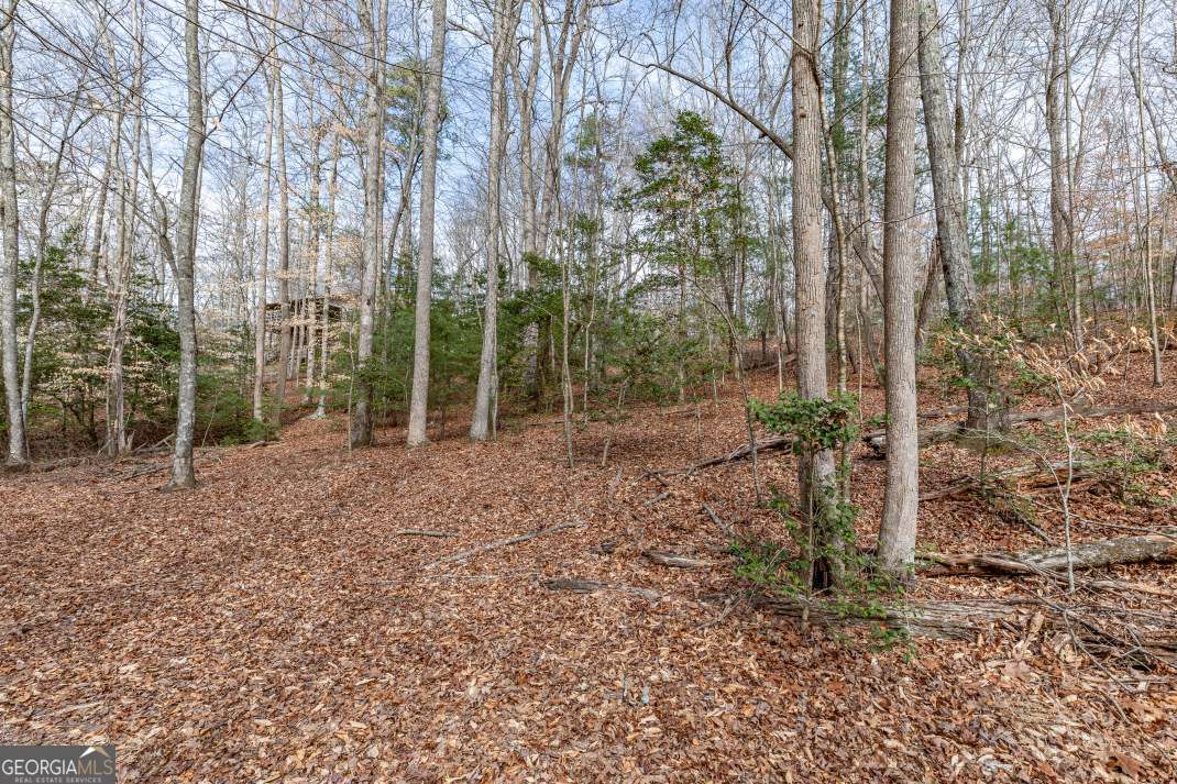 Lots 7&8 Zion Way Blairsville GA 30512