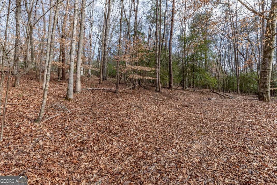 Lots 7&8 Zion Way Blairsville GA 30512