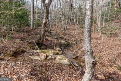 Lots 7&8 Zion Way Blairsville GA 30512