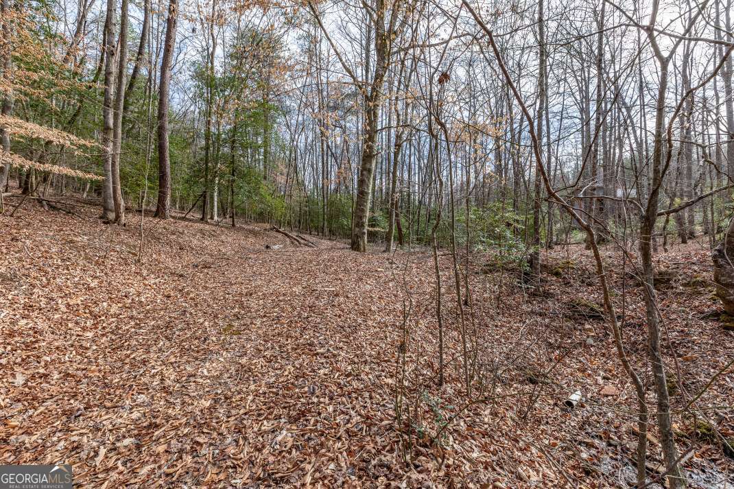 Lots 7&8 Zion Way Blairsville GA 30512