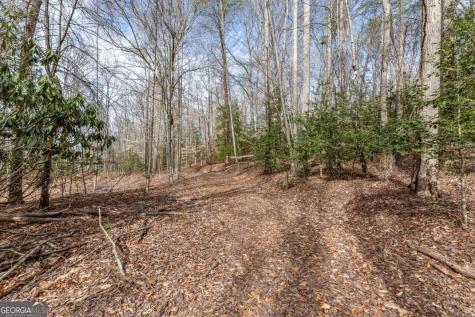 Lots 7&8 Zion Way Blairsville GA 30512