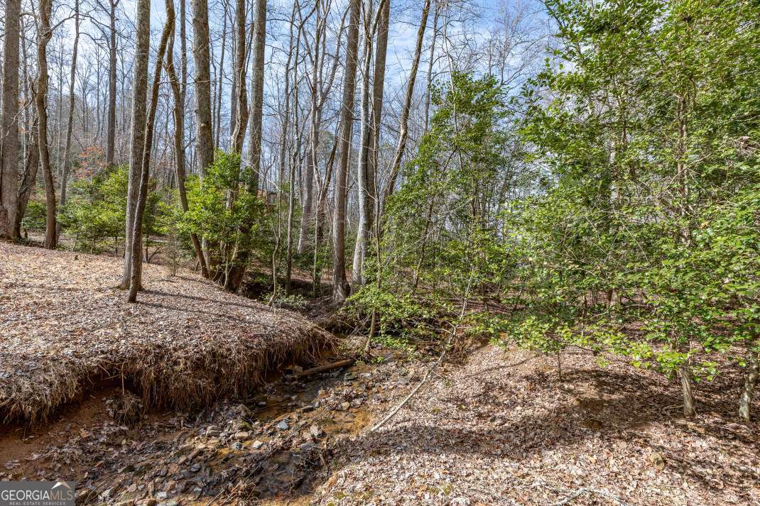 Lots 7&8 Zion Way Blairsville GA 30512