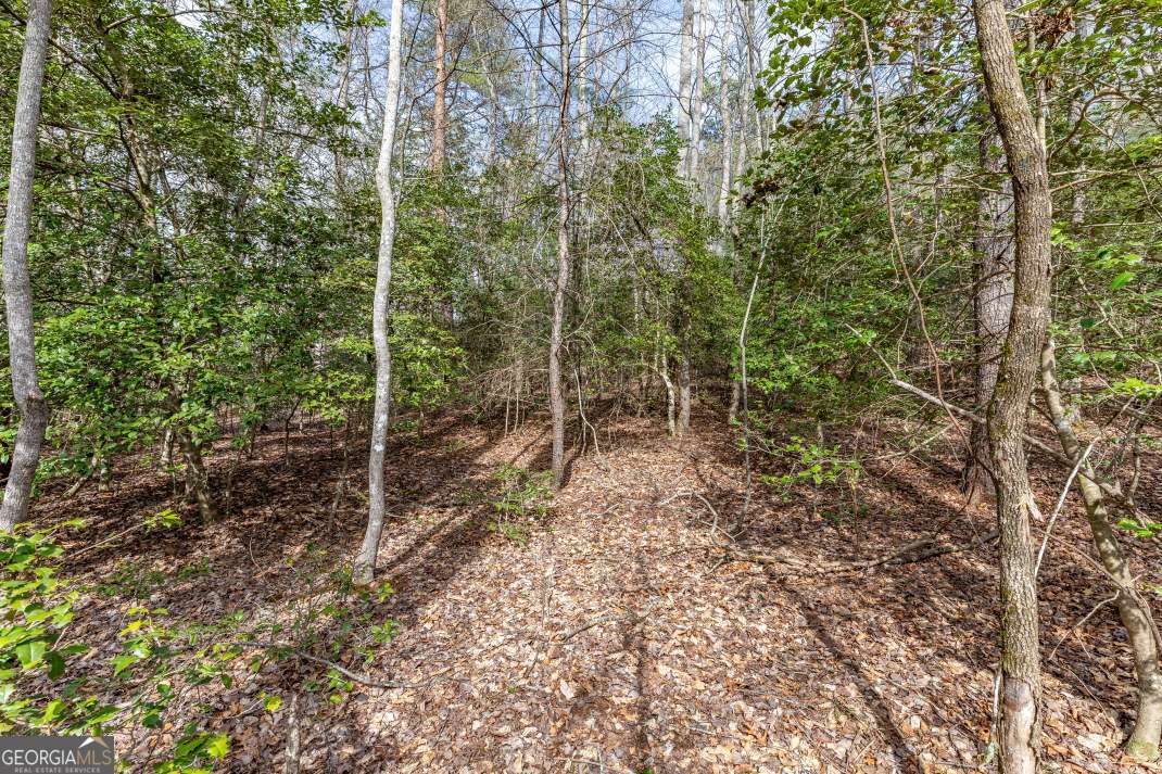 Lots 7&8 Zion Way Blairsville GA 30512