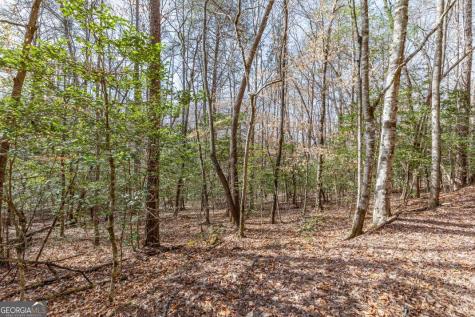 Lots 7&8 Zion Way Blairsville GA 30512