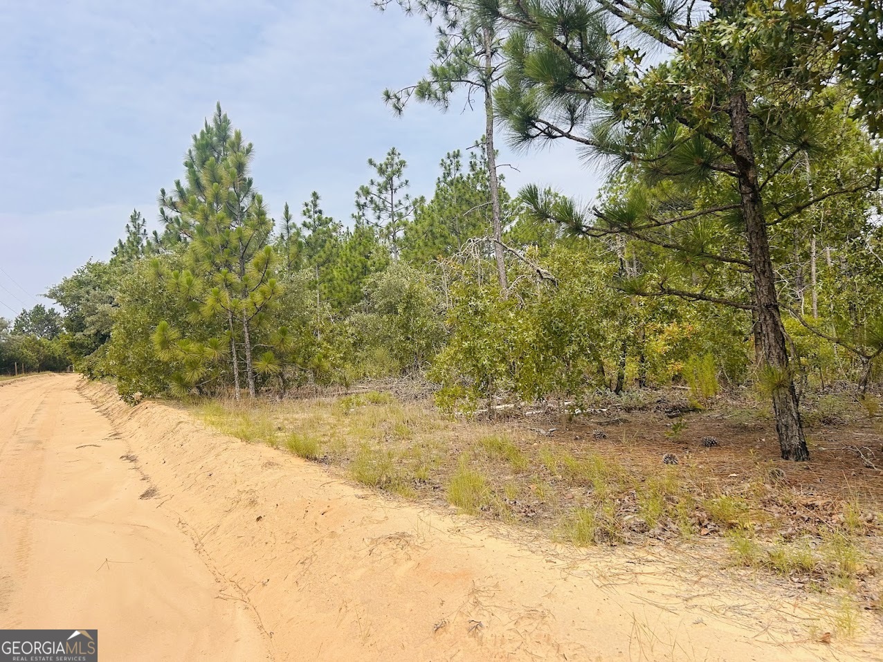375 Village Lane Mauk GA 31058