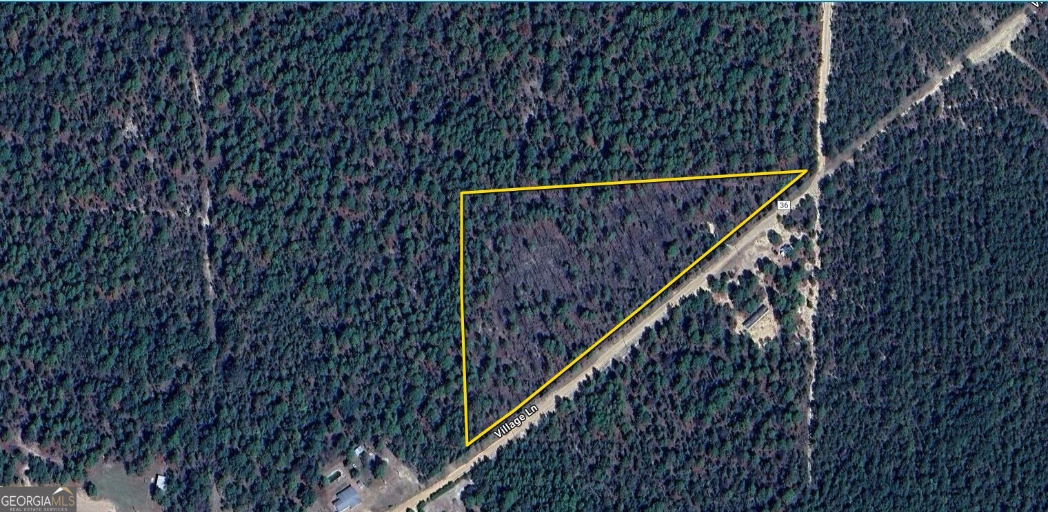 375 Village Lane Mauk GA 31058